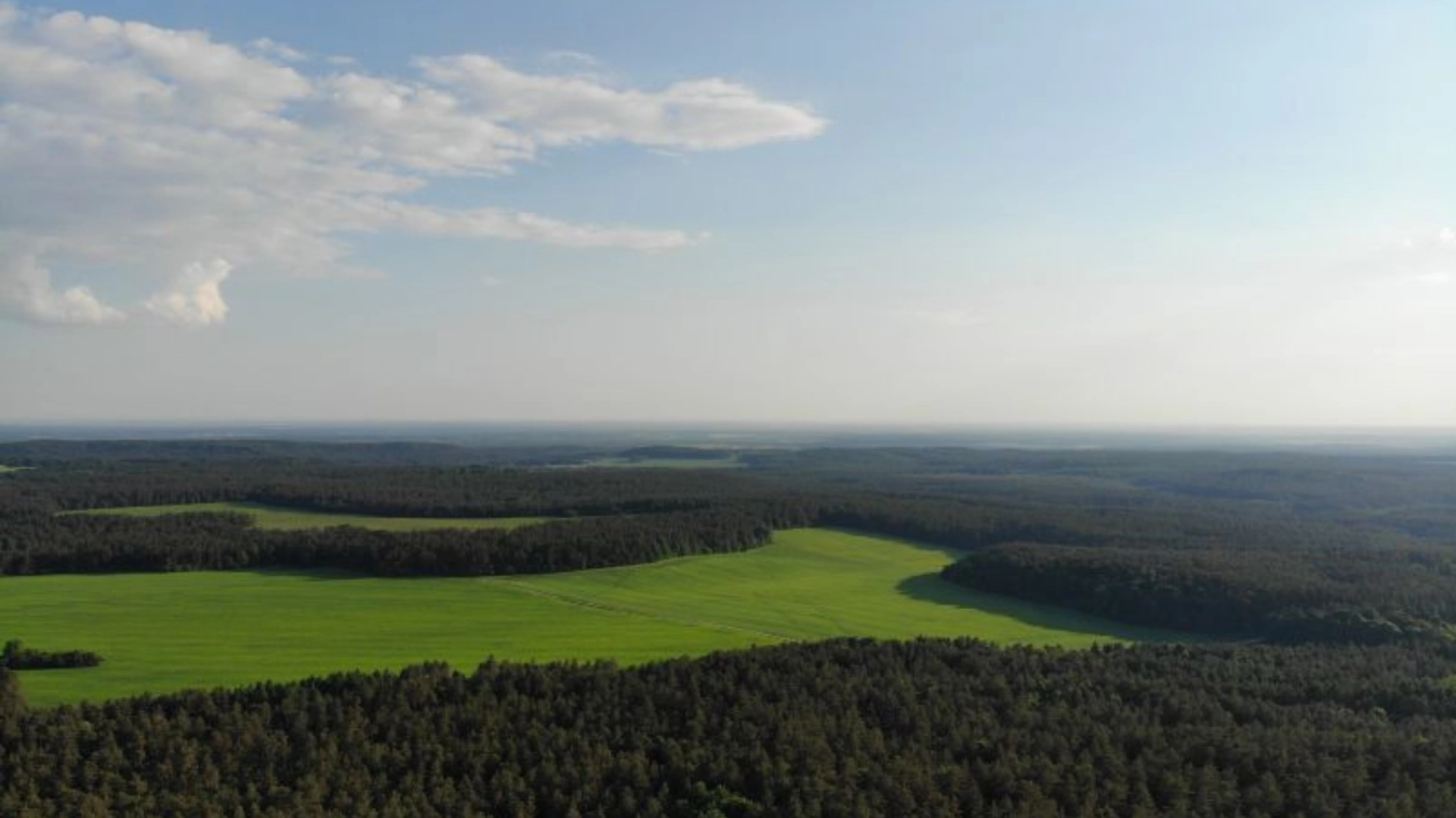Lasy i pola Roztocza